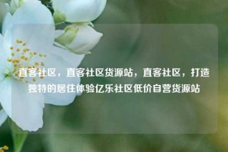 直客社区，直客社区货源站，直客社区，打造独特的居住体验亿乐社区低价自营货源站