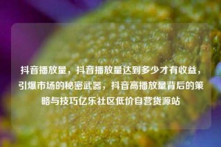 抖音播放量,抖音播放量达到多少才有收益,引爆市场的秘密武器,抖音高播放量背后的策略与技巧亿乐社区低价自营货源站