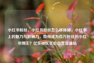 小红书粉丝,小红书粉丝怎么移除掉,小红书上的魅力与影响力,如何成为百万粉丝的小红书博主?亿乐社区低价自营货源站