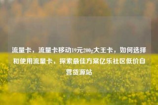 流量卡,流量卡移动19元200g大王卡,如何选择和使用流量卡,探索最佳方案亿乐社区低价自营货源站