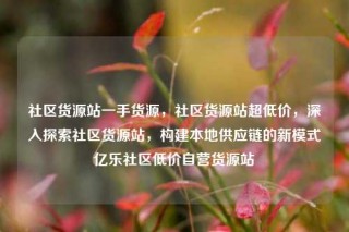 社区货源站一手货源，社区货源站超低价，深入探索社区货源站，构建本地供应链的新模式亿乐社区低价自营货源站