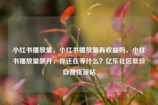 小红书播放量,小红书播放量有收益吗,小红书播放量飙升,你还在等什么?亿乐社区低价自营货源站