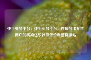 快手业务平台,快手业务平台,连接创作者与用户的桥梁亿乐社区低价自营货源站