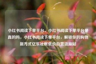 小红书阅读下单平台,小红书阅读下单平台是真的吗,小红书阅读下单平台,解锁你的购物新方式亿乐社区低价自营货源站