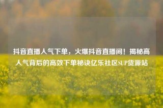 抖音直播人气下单，火爆抖音直播间！揭秘高人气背后的高效下单秘诀亿乐社区SUP货源站