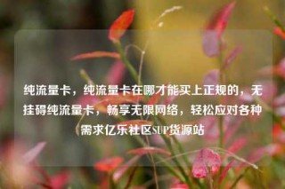 纯流量卡,纯流量卡在哪才能买上正规的,无挂碍纯流量卡,畅享无限网络,轻松应对各种需求亿乐社区SUP货源站
