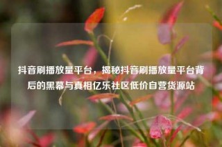 抖音刷播放量平台,揭秘抖音刷播放量平台背后的黑幕与真相亿乐社区低价自营货源站