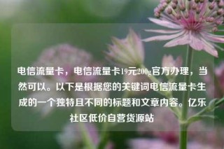 电信流量卡,电信流量卡19元200g官方办理,当然可以。以下是根据您的关键词电信流量卡生成的一个独特且不同的标题和文章内容。亿乐社区低价自营货源站