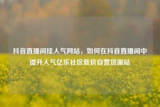 抖音直播间挂人气网站,如何在抖音直播间中提升人气亿乐社区低价自营货源站