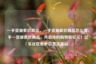 一手货源低价商品,一手货源低价商品怎么卖,手一货源低价商品,开启你的购物新纪元!亿乐社区低价自营货源站