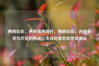 两碗社区，两碗镇两碗村，两碗社区，连接心灵与文化的桥梁亿乐社区低价自营货源站