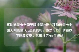 移动流量卡全国无限流量19元，移动流量卡全国无限流量19元是真的吗，当然可以，请看以下这篇文章。亿乐社区SUP货源站