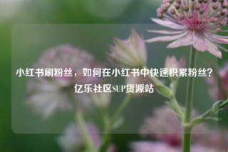 小红书刷粉丝,如何在小红书中快速积累粉丝?亿乐社区SUP货源站