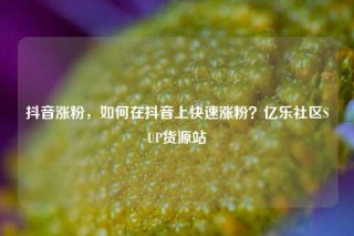 抖音涨粉,如何在抖音上快速涨粉?亿乐社区SUP货源站