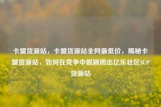 卡盟货源站,卡盟货源站全网最低价,揭秘卡盟货源站,如何在竞争中脱颖而出亿乐社区SUP货源站