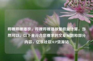 哔哩哔哩播放,哔哩哔哩播放量收益计算,当然可以。以下是符合您要求的文章标题和部分内容,亿乐社区SUP货源站