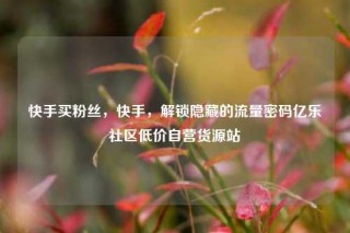 快手买粉丝，快手，解锁隐藏的流量密码亿乐社区低价自营货源站