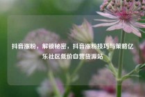 抖音涨粉，解锁秘密，抖音涨粉技巧与策略亿乐社区低价自营货源站