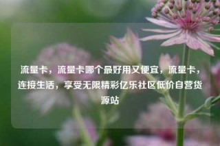 流量卡,流量卡哪个最好用又便宜,流量卡,连接生活,享受无限精彩亿乐社区低价自营货源站
