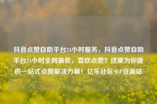 抖音点赞自助平台24小时服务,抖音点赞自助平台24小时全网最低,喜欢点赞?这里为你提供一站式点赞解决方案!亿乐社区SUP货源站