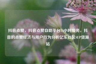 抖音点赞,抖音点赞自助平台24小时服务,抖音的点赞经济与用户行为分析亿乐社区SUP货源站