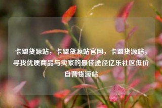 卡盟货源站,卡盟货源站官网,卡盟货源站,寻找优质商品与卖家的最佳途径亿乐社区低价自营货源站