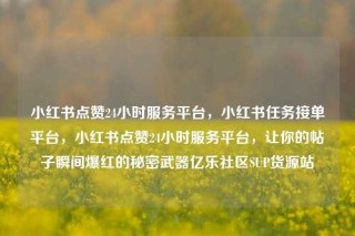 小红书点赞24小时服务平台，小红书任务接单平台，小红书点赞24小时服务平台，让你的帖子瞬间爆红的秘密武器亿乐社区SUP货源站