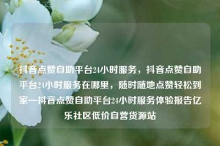 抖音点赞自助平台24小时服务,抖音点赞自助平台24小时服务在哪里,随时随地点赞轻松到家—抖音点赞自助平台24小时服务体验报告亿乐社区低价自营货源站