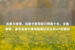 流量卡推荐,流量卡推荐排行榜前十名,全面解析,最佳流量卡推荐指南亿乐社区SUP货源站