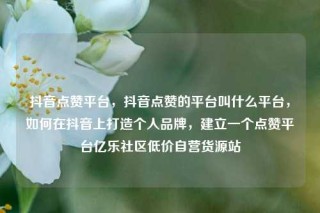 抖音点赞平台,抖音点赞的平台叫什么平台,如何在抖音上打造个人品牌,建立一个点赞平台亿乐社区低价自营货源站