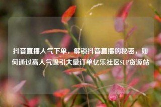 抖音直播人气下单,解锁抖音直播的秘密,如何通过高人气吸引大量订单亿乐社区SUP货源站