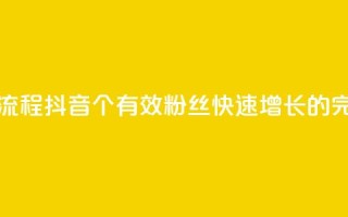 抖音500有效粉快速长流程 - 抖音500个有效粉丝快速增长的完整步骤解密!
