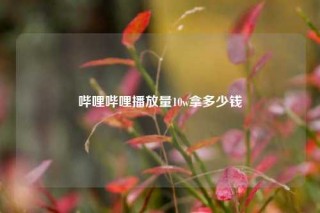 哔哩哔哩播放量10w拿多少钱