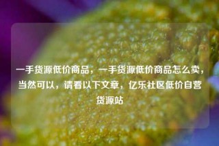 一手货源低价商品,一手货源低价商品怎么卖,当然可以,请看以下文章,亿乐社区低价自营货源站