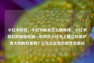 小红书粉丝,小红书粉丝怎么移除掉,小红书粉们的秘密花园—如何在小红书上建立和维护庞大的粉丝基础?亿乐社区低价自营货源站