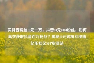 买抖音粉丝10元一万,抖音10元1000粉丝,如何高效获取抖音百万粉丝?揭秘10元购粉丝秘籍亿乐社区SUP货源站
