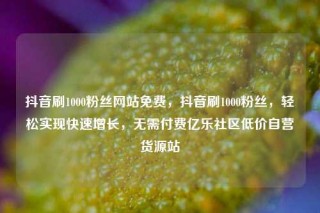 抖音刷1000粉丝网站免费,抖音刷1000粉丝,轻松实现快速增长,无需付费亿乐社区低价自营货源站