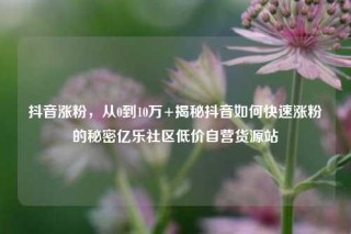 抖音涨粉,从0到10万+揭秘抖音如何快速涨粉的秘密亿乐社区低价自营货源站
