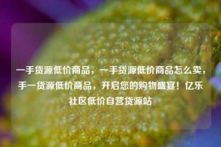一手货源低价商品，一手货源低价商品怎么卖，手一货源低价商品，开启您的购物盛宴！亿乐社区低价自营货源站