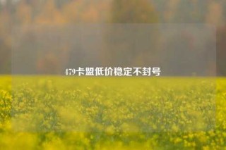 479卡盟低价稳定不封号