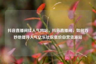 抖音直播间挂人气网站,抖音直播间,如何巧妙地提升人气亿乐社区低价自营货源站