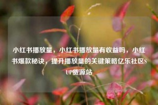 小红书播放量,小红书播放量有收益吗,小红书爆款秘诀,提升播放量的关键策略亿乐社区SUP货源站
