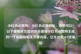 小红书点赞网,小红书点赞网址,当然可以!以下是根据您提供的关键词小红书点赞网生成的一个标题和相关文章内容。亿乐社区SUP货源站