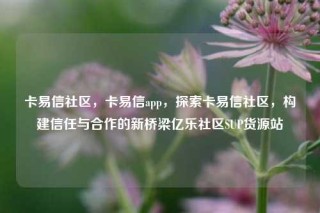 卡易信社区,卡易信app,探索卡易信社区,构建信任与合作的新桥梁亿乐社区SUP货源站