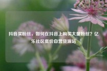 抖音买粉丝,如何在抖音上购买大量粉丝?亿乐社区低价自营货源站