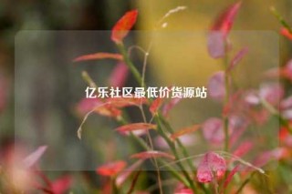 亿乐社区最低价货源站