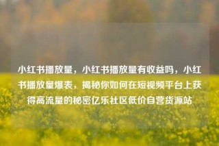 小红书播放量,小红书播放量有收益吗,小红书播放量爆表,揭秘你如何在短视频平台上获得高流量的秘密亿乐社区低价自营货源站