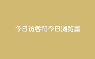 今日访客和今日浏览量,q赞助手最新版下载 - qq绝版名片代码大全 - 抖音下单24小时