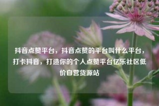 抖音点赞平台,抖音点赞的平台叫什么平台,打卡抖音,打造你的个人点赞平台亿乐社区低价自营货源站