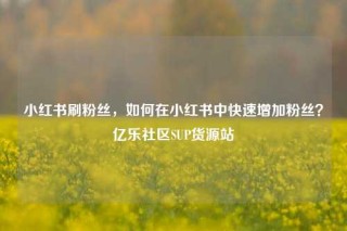 小红书刷粉丝,如何在小红书中快速增加粉丝?亿乐社区SUP货源站